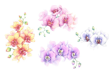 Watercolor orchid flower set. Hand-painted vibrant floral illustration. Elegant petals and buds. Perfect for floral design, cards, fabric prints, stationary