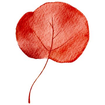 Warm Hand Drawn Autumn Fall Leaf Isolated Watercolor Illustration in Transparent Background - for Botany, Organic Natural Design, Halloween, Rustic - Red Leaf