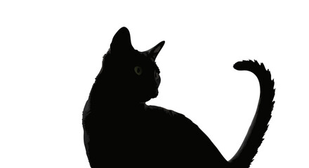 Minimalist Vector SVG Illustration of Black Cat Silhouette with Green Eyes in Flat Design Style