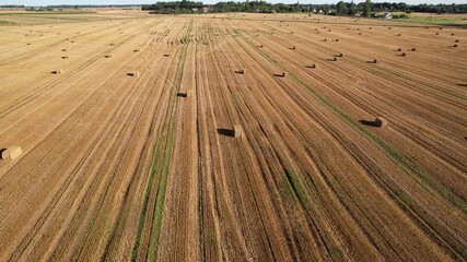 harvest time in countryside Lithuania