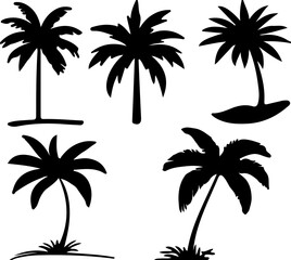 Obraz premium palm tree, silhouette, tropical, island, nature, tree, plant, vegetation, summer, vacation, beach, exotic, travel, isolated, white background, organic, growth, flora, foliage, leaves, trunk, branches,