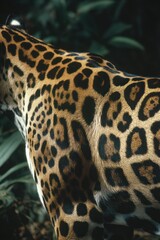 Jaguar with spotted fur stands in a lush green environment.