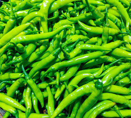 A picture of Green Chilli 