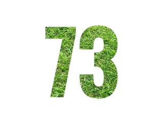 Design number 73 with grass texture isolated on white background