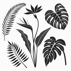 Tropical foliage silhouettes bird of paradise monstera fern