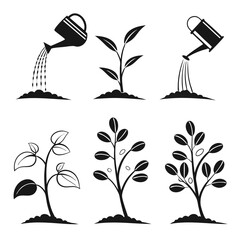 Watering can pouring water on plant growth stages black and white