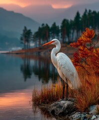 White heron stands near water edge with trees and mountains in background.