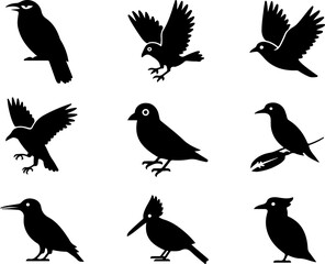 Obraz premium Bird Silhouette Vector Bundle – Owl, Crow, Flying Birds