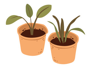 Garden plant in pots. Farming and horticulture concept. Garden and seedling vector in flat style.