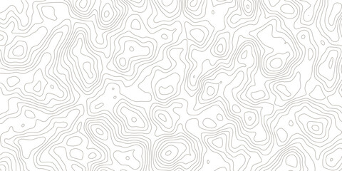 Topographic map and landscape terrain texture grid. Abstract white topography vector background, Vector geographic contour map.
