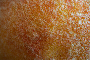 Close-up of the texture of a ripe peach.
