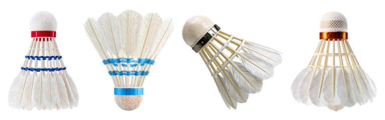 Collection of four badminton shuttlecocks various designs and colors ready for sport play isolated on a white or transparent background