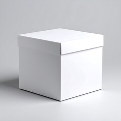 Blank white square gift box