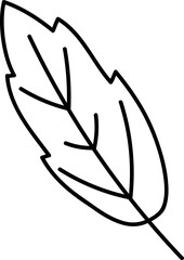 Outline Feather Drawing