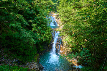 夏の山梨県山梨市 西沢渓谷の七ツ釜五段の滝の滝つぼを見る