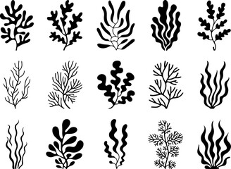 Abstract Botanical Leaf Silhouette Collection" Vector BUndle