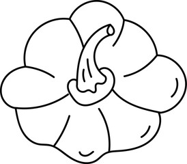 Doodle Pumpkin Top View