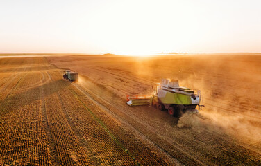 Obraz premium Professional occupation, driving forward. Agricultural machine harvesting wheat