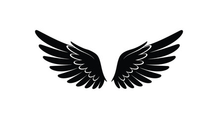 a pair of black wings spread wide against white background