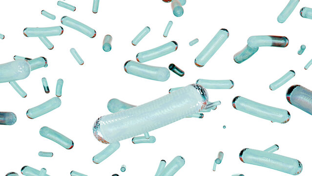 3D Render of Lactobacillus acidophilus on Transparent Background