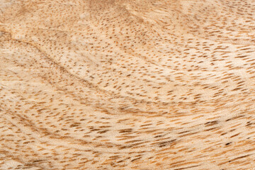 Mango wood texture top view. Kitchen wooden tray background, organic Mangifera indica veneer