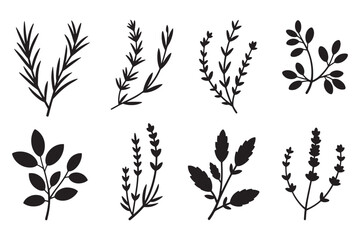Naklejka premium Collection of black silhouette botanical sprigs and leaves