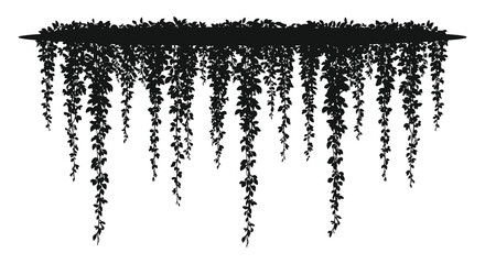 a silhouette of hanging vines cascading from an overhead structure © nhpvect02