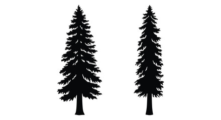 Naklejka premium two tall pine trees standing side by side in silhouette