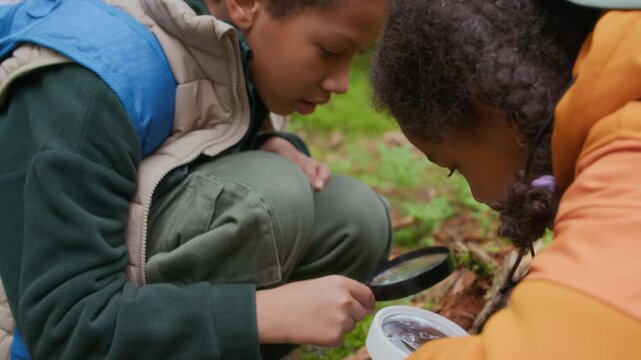 African American children on hiking trip using magnifying glasses to study insects and soil, learning and exploring nature with curiosity and adventure