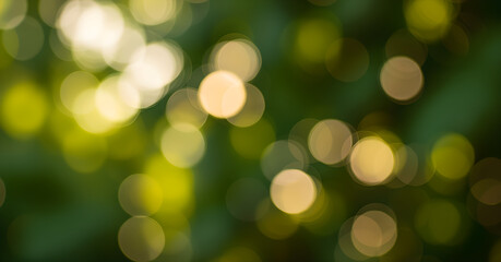 Golden green bokeh lights abstract background