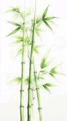 Obraz premium Elegant Bamboo Stalks with Fresh Green Leaves