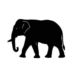 elephant vector illustration