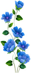 Bouquet of blue flowers