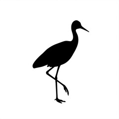 Obraz premium Crane bird silhouette standing