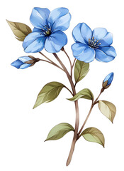 Bouquet of blue flowers