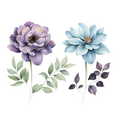 Illustration of flowers