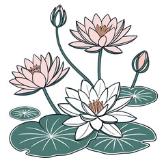 Delicate pink and white water lilies bloom with buds and lily pads on a white background