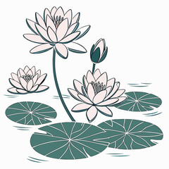 Delicate pink water lilies bloom on a pond with green lily pads and rippling water