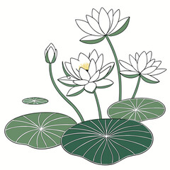 Delicate white water lilies and lily pads in a serene aquatic garden illustration
