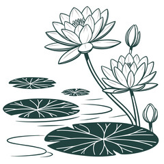 Elegant dark green line art illustration of blooming water lilies and lily pads on a white background