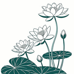 Elegant line art illustration of blooming water lilies and buds with large green lily pads