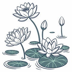 Elegant line art illustration of blooming water lilies and buds floating on serene water with lily pads
