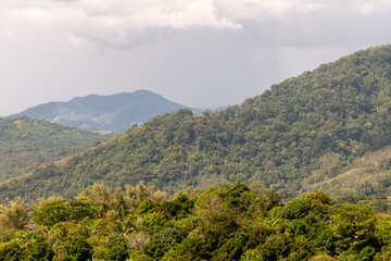 Obraz premium Thailand Bangkok Tropical Mountain Forest Landscape