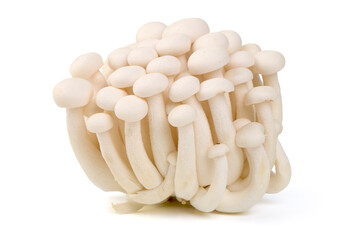 White Beech Mushrooms, isolated on white background
