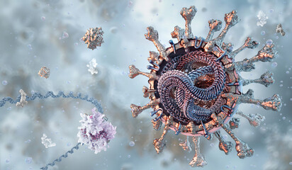 Coronavirus SARS-CoV-2 particle structure. Surface spike glycoproteins, RNA genome, nucleocapsid proteins inside the viral envelope. Respiratory COVID-19 virus infection, pandemics, global health 3D