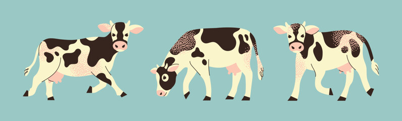 Set of cows different poses standing, grazing, cute farm. Dairy farming and agriculture concept. Flat vector illustration.