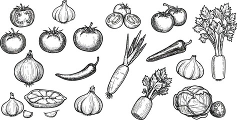 a variety of vegetables drawn in black and white sketches