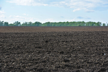 Plowed field under a bright blue sky with a forest line