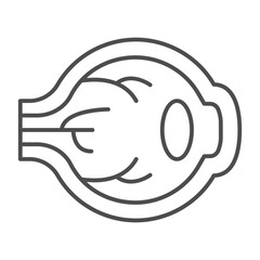 Eye ball thin line icon, vision treatment concept. Vector graphics. Human organ of vision, ophthalmology sign on white background, outline style icon for mobile or web design.