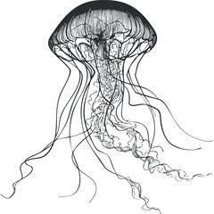 Fototapeta premium Detailed black and white line art illustration of a jellyfish with flowing tentacles in underwater ocean environment